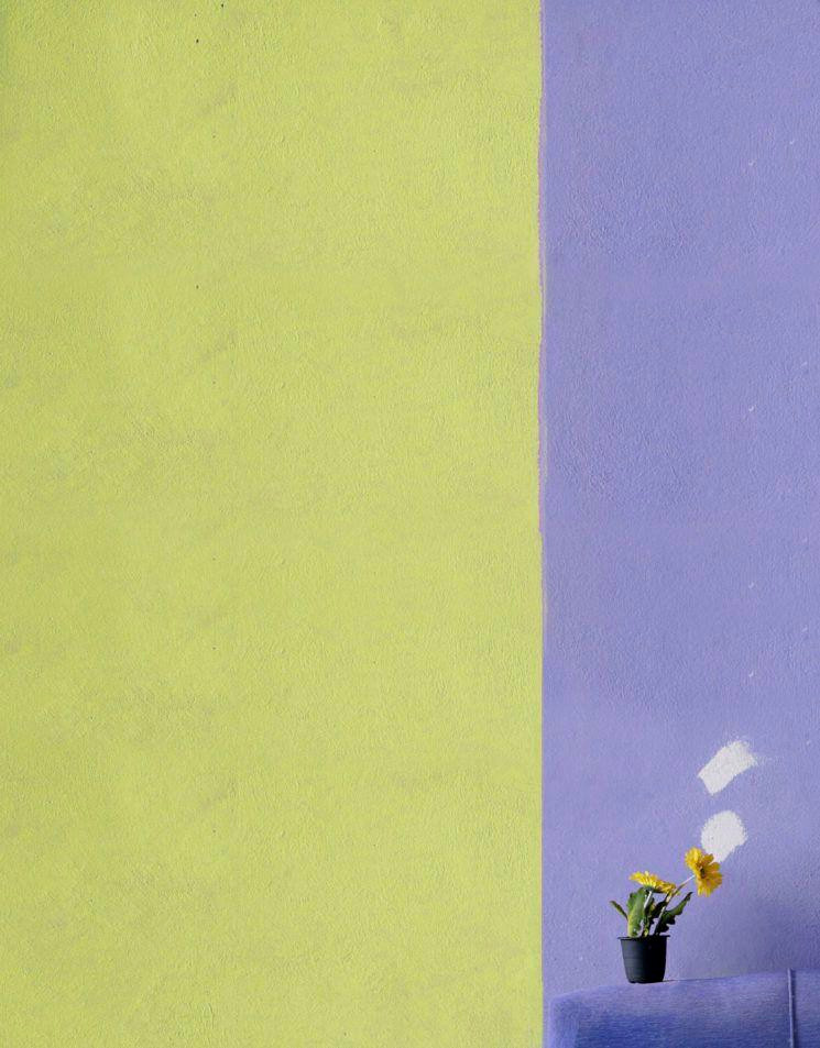 Sony World Photography Awards là một cuộc thi ảnh quốc tế uy tín do Tổ chức Nhiếp ảnh Thế giới (WPO) tổ chức.