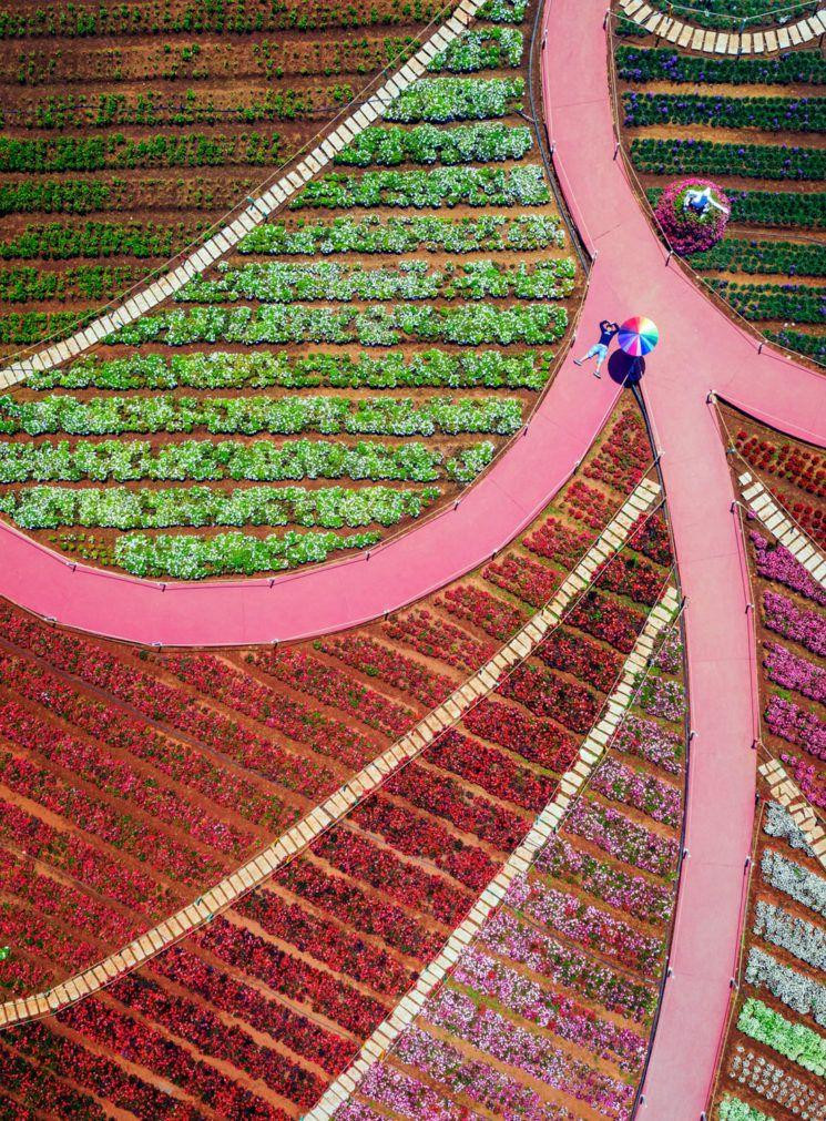 Tác phẩm của nhiếp ảnh gia Tuan Nguyen Tan dự thi hạng Mở, chủ đề Du lịch. (Ảnh: Sony World Photography Awards 2020)