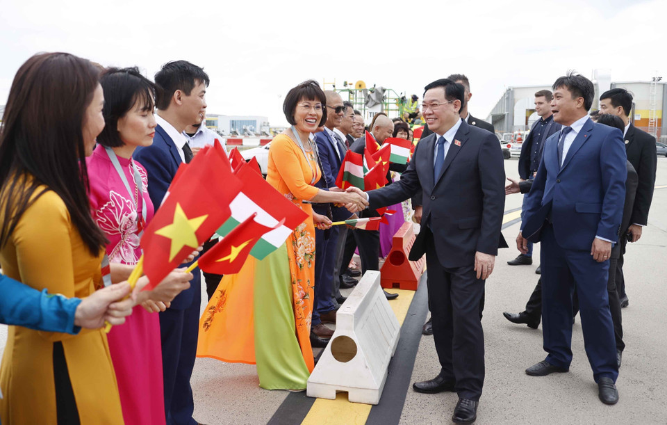 Kiều bào tại Hungary đón Chủ tịch Quốc hội Vương Đình Huệ và Đoàn Đại biểu cấp cao Quốc hội Việt Nam. (Ảnh: Doãn Tấn/TTXVN)