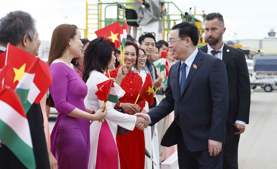 Kiều bào tại Hungary đón Chủ tịch Quốc hội Vương Đình Huệ và Đoàn Đại biểu cấp cao Quốc hội Việt Nam. (Ảnh: Doãn Tấn/TTXVN)