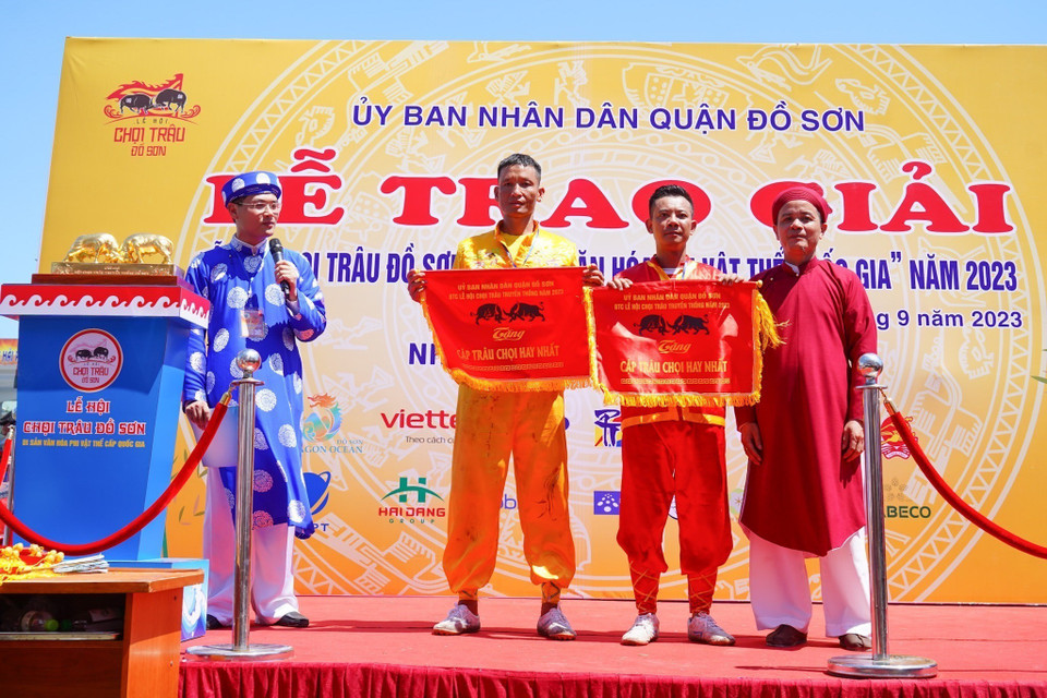 Trao giải Cặp trâu chọi hay nhất tại Lễ hội Chọi Trâu Đồ Sơn năm 2023. (Ảnh: TTXVN phát)