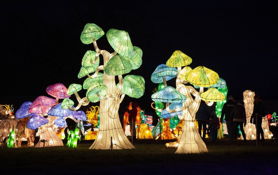 Một số hình ảnh tại Triển lãm Ánh sáng quốc tế Seasky được tổ chức tại Thác Niagara ở Ontario, Canada. (Ảnh: THX/TTXVN)