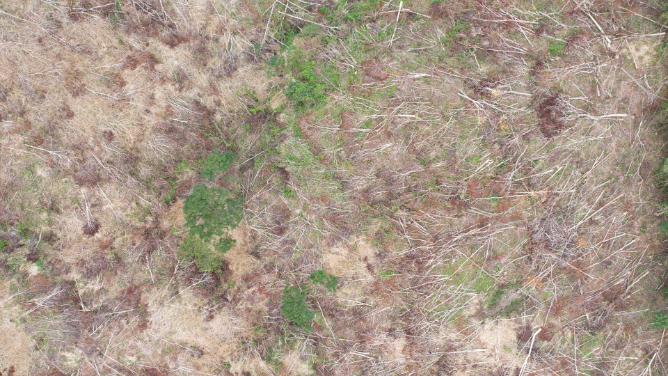 Vụ việc diễn ra vào ngày 6/9/2023, khi trên địa bàn có mưa lớn, nước sông dâng cao, gây khó khăn cho việc tuần tra, kiểm tra. (Ảnh: Hoài Nam/TTXVN)