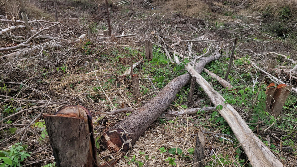 Cơ quan chức năng đang điều tra, xác minh và xử lý nghiêm các đối tượng liên quan. (Ảnh: Hoài Nam/TTXVN)