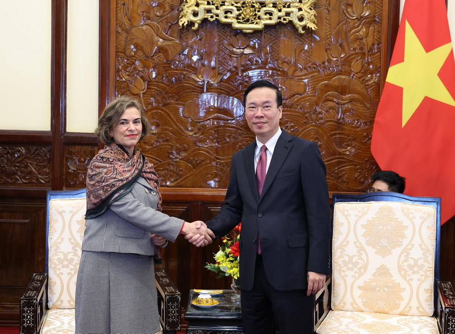 Chủ tịch nước Võ Văn Thưởng tiếp Đại sứ Tây Ban Nha Carmen Cano De Lasala. (Ảnh: Thống Nhất/TTXVN)