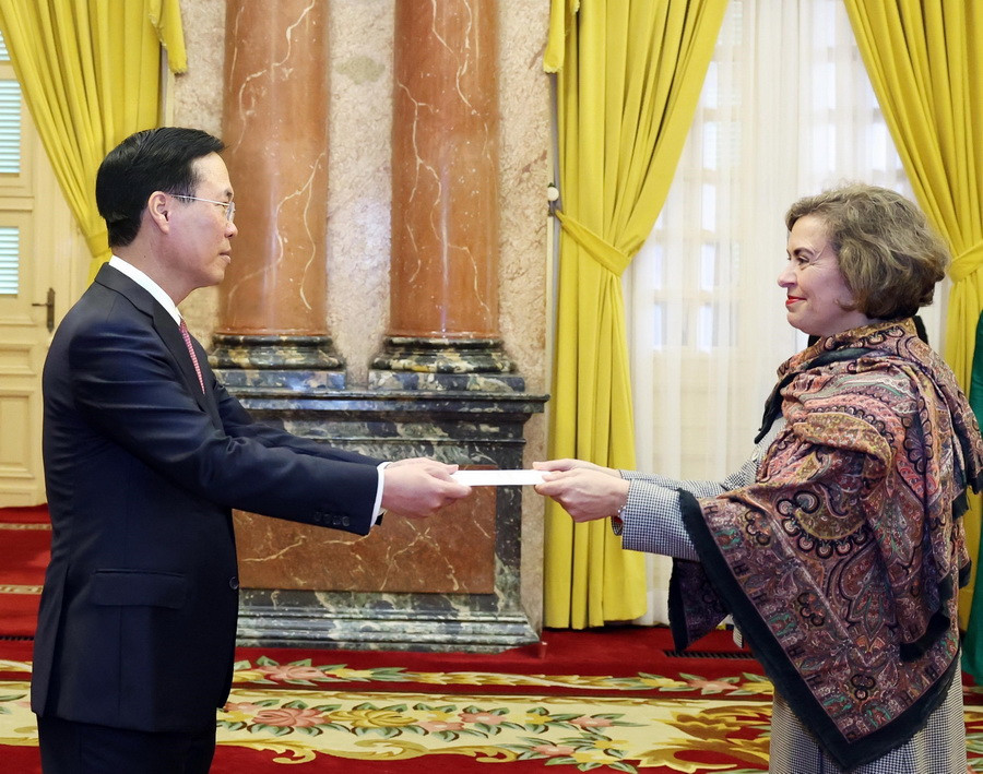 Chủ tịch nước Võ Văn Thưởng tiếp nhận Quốc thư của Đại sứ Tây Ban Nha Carmen Cano De Lasala. (Ảnh: Thống Nhất/TTXVN)