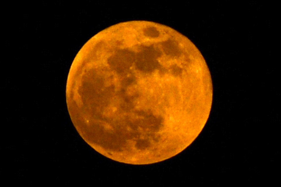 Ngày 26/5/2021, người dân thế giới được chứng kiến 2 hiện tượng thiên văn kỳ thú xảy ra đồng thời, đó là hiện tượng siêu trăng và nguyệt thực toàn phần. Các nhà thiên văn học cho biết hiện tượng thiên văn kép mang tên Siêu Trăng Máu này là "chỉ xảy ra một lần trong một thập kỷ". (Ảnh: THX/TTXVN)