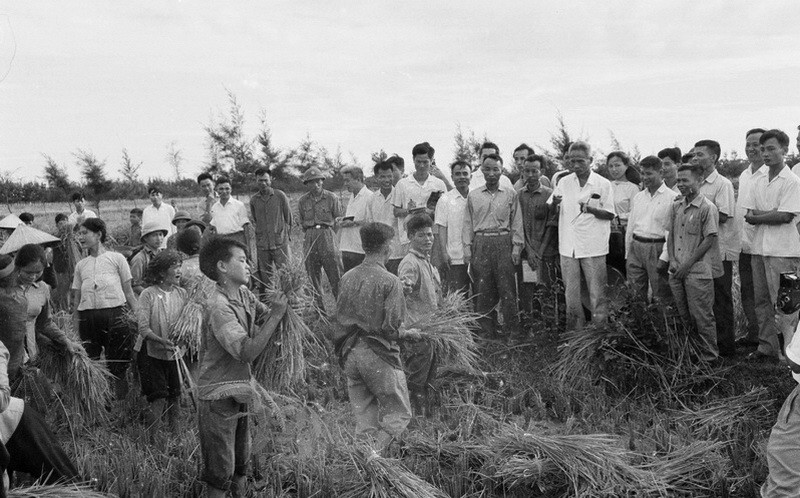Thủ tướng Phạm Văn Đồng thị sát đồng ruộng của nhân dân huyện Đan Phượng, tỉnh Hà Tây tháng 7/1971. (Ảnh: Văn Lượng/TTXVN)