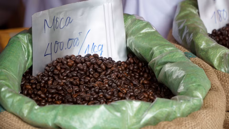Nhiều loại nông sản tươi ngon tại hội chợ. (Ảnh: Vi Diệu/Vietnam+)