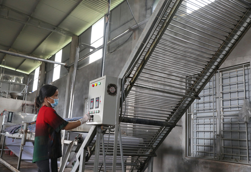 Dây chuyền sản xuất được đầu tư hiện đại, công nghệ mới góp phần đưa sản phẩm Mỳ Chũ xuất khẩu ra thế giới. (Ảnh: Danh Lam/TTXVN)