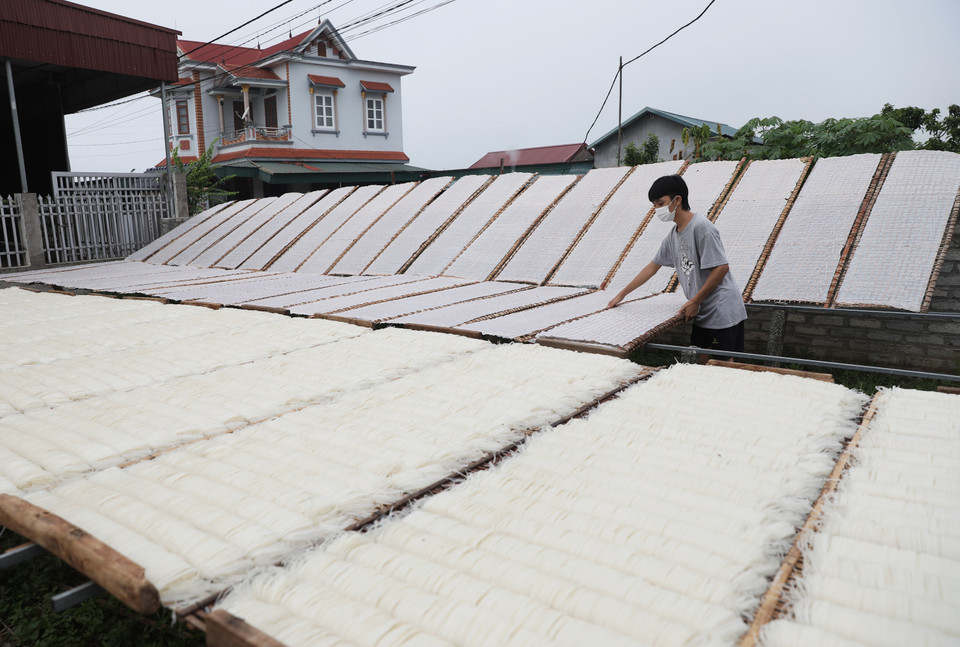 Phơi Mỳ Chũ tại Hợp tác xã sản xuất Mỳ Chũ Xuân Trường, xã Nam Dương, huyện Lục Ngạn (Bắc Giang). (Ảnh: Danh Lam/TTXVN)