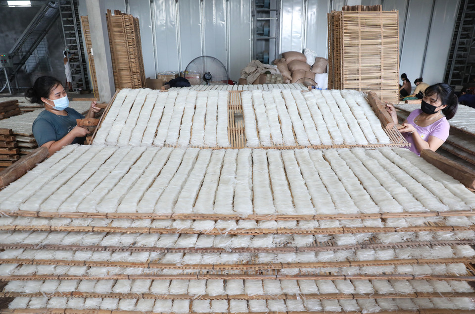 Dây chuyền sản xuất Mỳ Chũ tại Hợp tác xã sản xuất Mỳ Chũ Xuân Trường, xã Nam Dương, huyện Lục Ngạn (Bắc Giang). (Ảnh: Danh Lam/TTXVN)