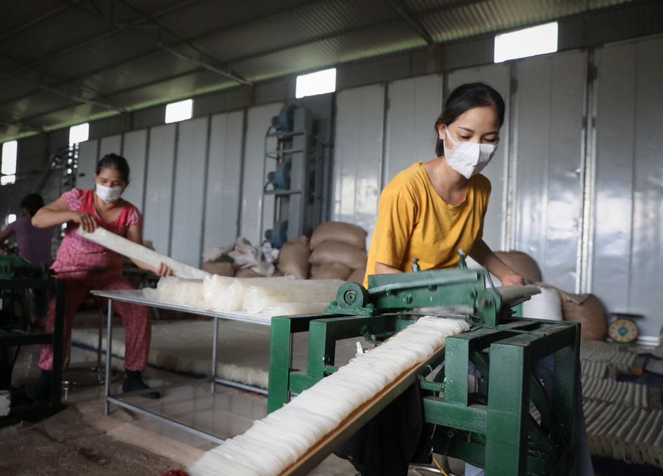 Dây chuyền sản xuất Mỳ Chũ tại Hợp tác xã sản xuất Mỳ Chũ Xuân Trường, xã Nam Dương, huyện Lục Ngạn (Bắc Giang). (Ảnh: Danh Lam/TTXVN)