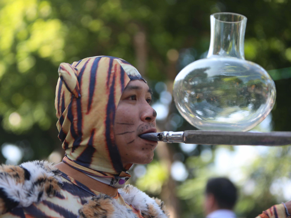 Nhiều tiết mục xiếc độc đáo gây tò mò, thích thú cho người dân và du khách. (Ảnh: Thanh Tùng/TTXVN)