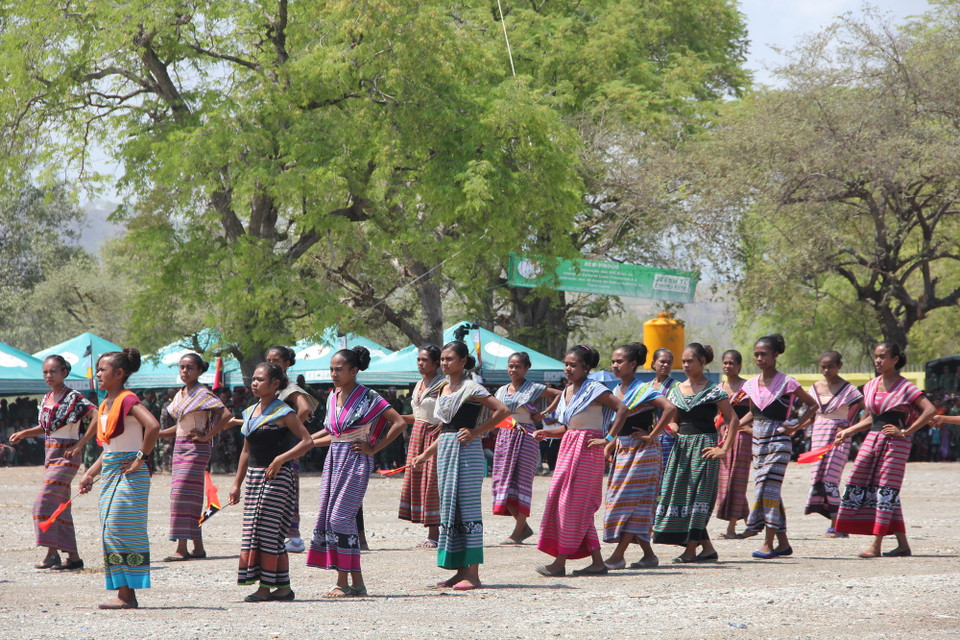 Các nhóm nghệ thuật biểu diễn. (Ảnh: Trung Sơn/Vietnam+)