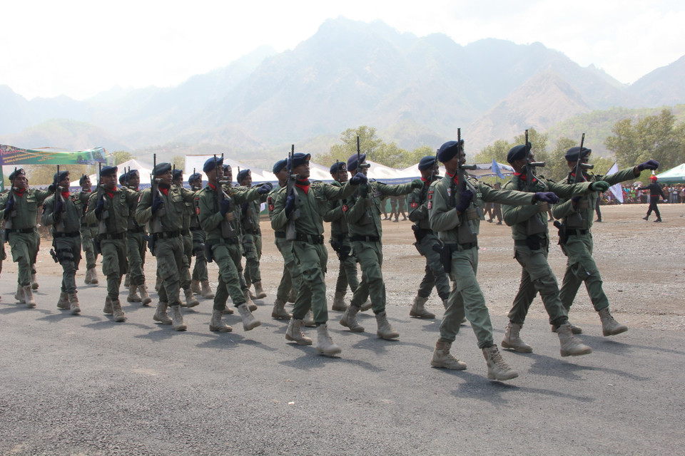 Các lực lượng vũ trang diễu binh. (Ảnh: Trung Sơn/Vietnam+)