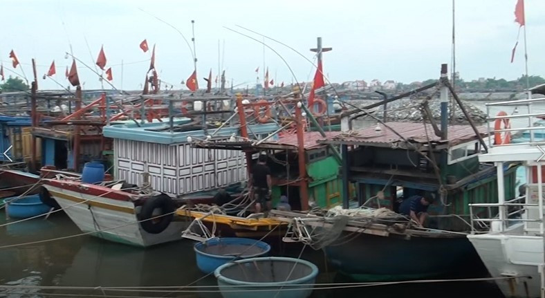 Tàu thuyền trên địa bàn tỉnh Quảng Bình đã vào tránh trú bão an toàn. (Ảnh: Võ Dung/TTXVN)