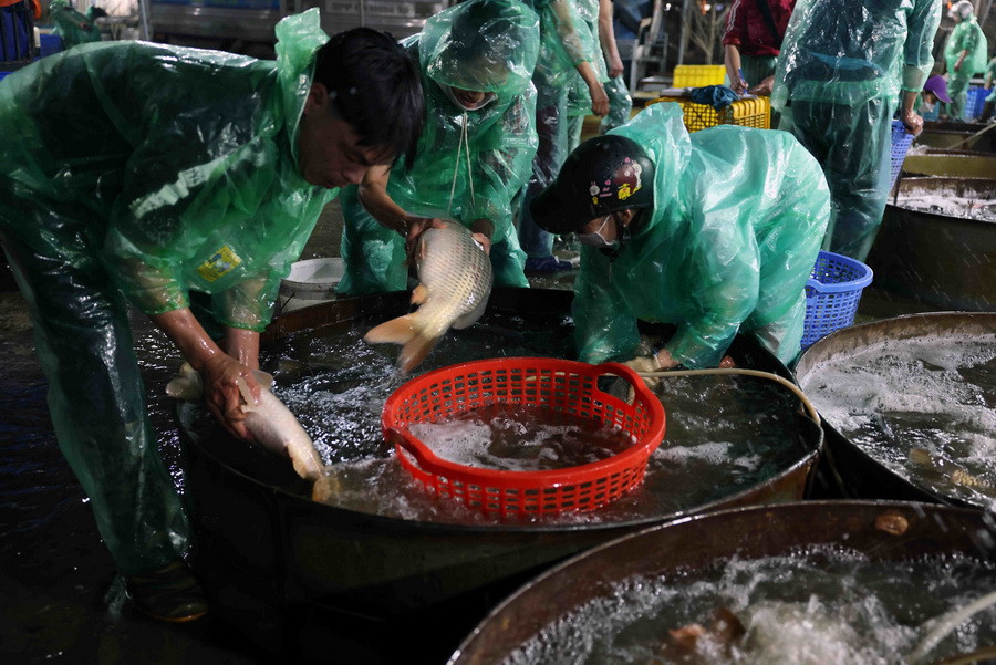 Các chợ đầu mối cung cấp đủ loại thực phẩm phục vụ người dân Thủ đô dịp Tết Nguyên đán Giáp Thìn. (Ảnh: Vũ Sinh/TTXVN)