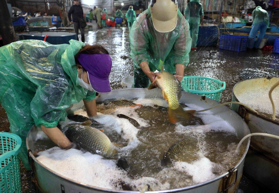 Tiểu thương chọn mua cá nước ngọt ở chợ đầu mối thuỷ sản Yên Sở (quận Hoàng Mai). (Ảnh: Vũ Sinh/TTXVN)