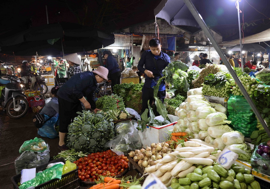 Mỗi ngày đêm, chợ đầu mối Nam Hà Nội (quận Hoàng Mai) cung cấp ra thị trường khoảng 60 tấn rau, củ, quả, thịt, cá các loại. (Ảnh: Vũ Sinh/TTXVN)