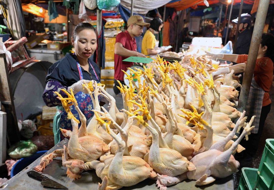 Tiểu thương ở chợ đầu mối Nam Hà Nội (quận Hoàng Mai) chuẩn bị nguồn hàng phục vụ mua sắm của người dân. (Ảnh: Vũ Sinh/TTXVN)