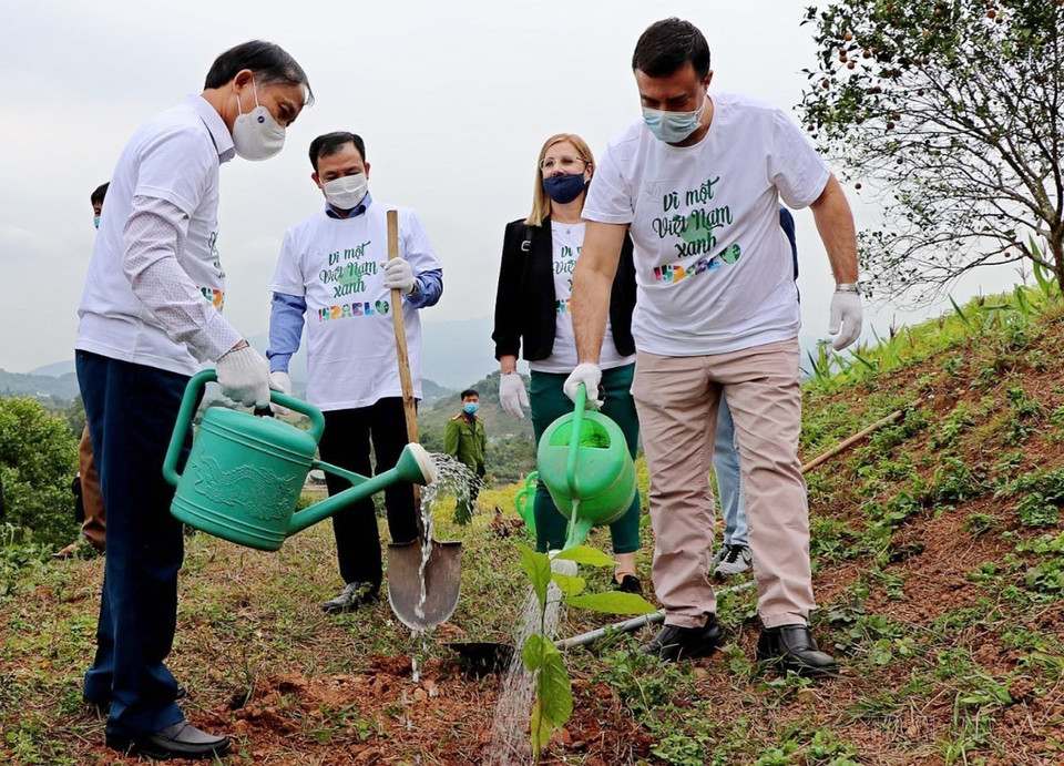 Ngày 13/12/2021, Đại sứ quán Israel tại Việt Nam tổ chức trao tặng hơn 22.000 cây kinh tế cho nông dân xã Bắc Phong, huyện Cao Phong, tỉnh Hòa Bình. (Ảnh: Thanh Hải/TTXVN)