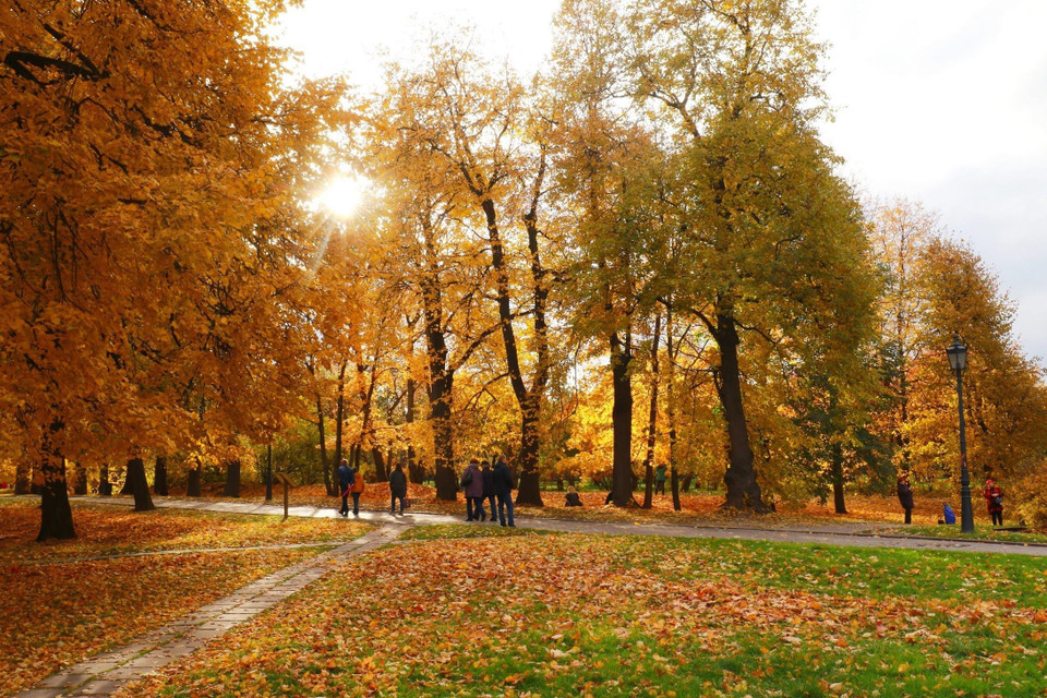 Mùa thu vàng ở Kolomensk. (Ảnh: Trần Hiếu/TTXVN)