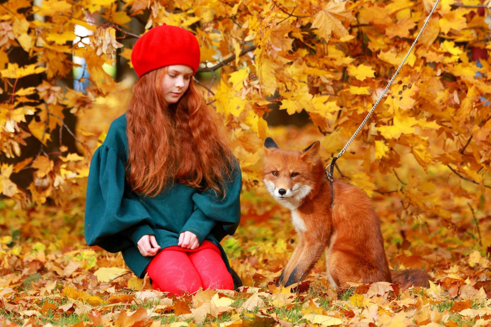 Công viên Kolomensk là nơi người dân thủ đô tận hưởng ngày nghỉ cuối tuần. (Ảnh: Trần Hiếu/TTXVN)