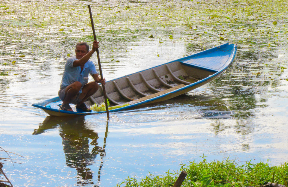 Tận dụng lúc nông nhàn, ngày 2 buổi sáng-chiều, người nông dân ra đồng thả lưới, đẩy côn, giăng câu, đặt lờ... (Ảnh: Nguyễn Hằng/TTXVN)