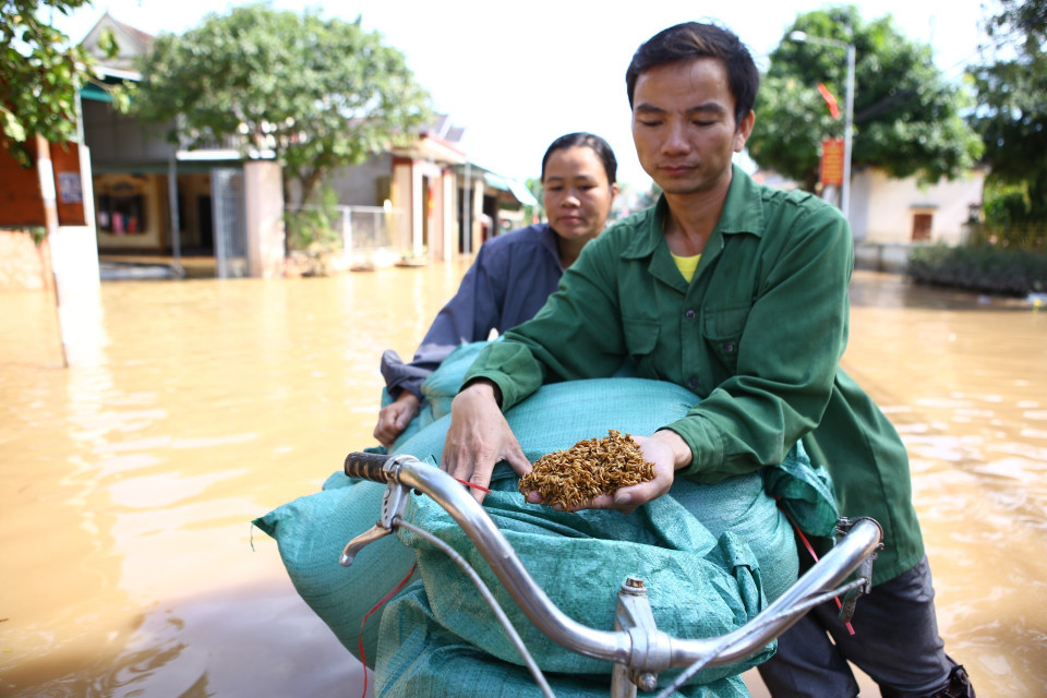 Tranh thủ thời tiết nắng, vợ chồng anh Dương Hữu Đan, thôn 10, xã Cẩm Duệ (Cẩm Xuyên) mang thóc ra phơi. (Ảnh: Minh Quyết/TTXVN)