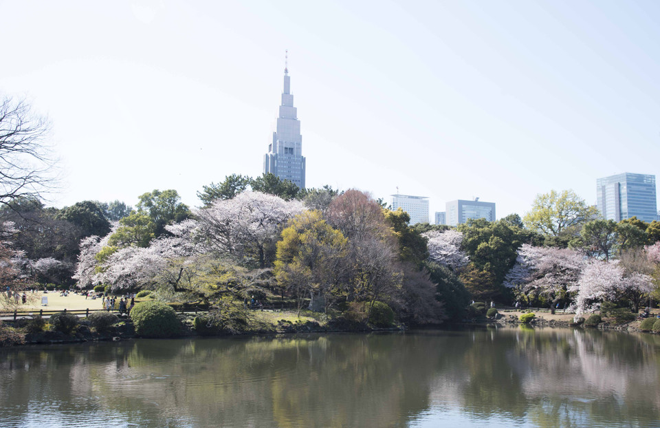Một góc yên bình trong công viên Shinjuku Gyoen. (Ảnh: Thành Hữu/TTXVN tại Nhật Bản)