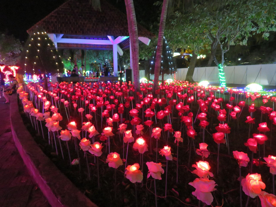 Các mô hình đèn LED tại lễ hội. (Ảnh: Ánh Tuyết/TTXVN)