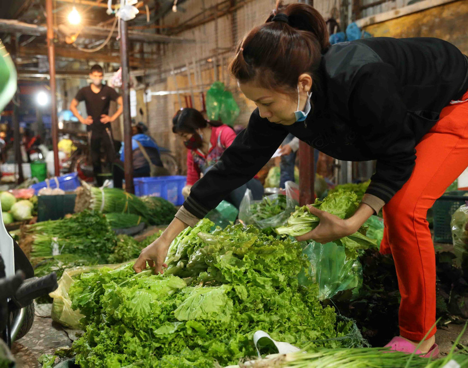 Lượng thực phẩm luôn đáp ứng đủ nhu cầu mua sắm thiết yếu của người dân trước tình hình dịch bệnh COVID-19 kéo dài.(Ảnh: Vũ Sinh/TTXVN)