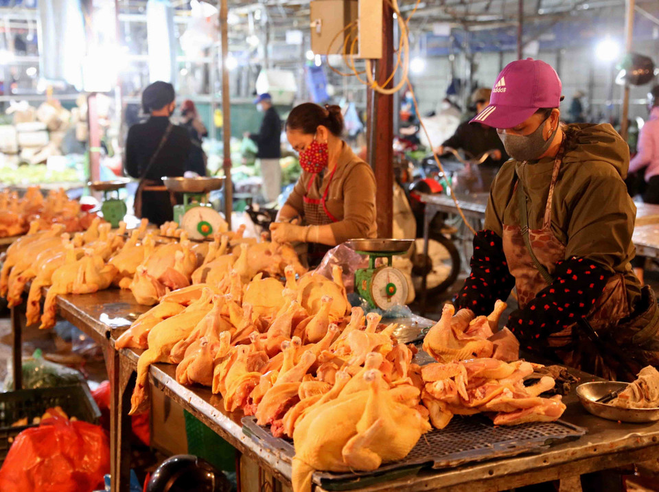 Chợ Phùng Khoang mỗi ngày đêm cung cấp hơn 10 tấn rau, củ, quả, thịt, cá các loại. (Ảnh: Vũ Sinh/TTXVN)