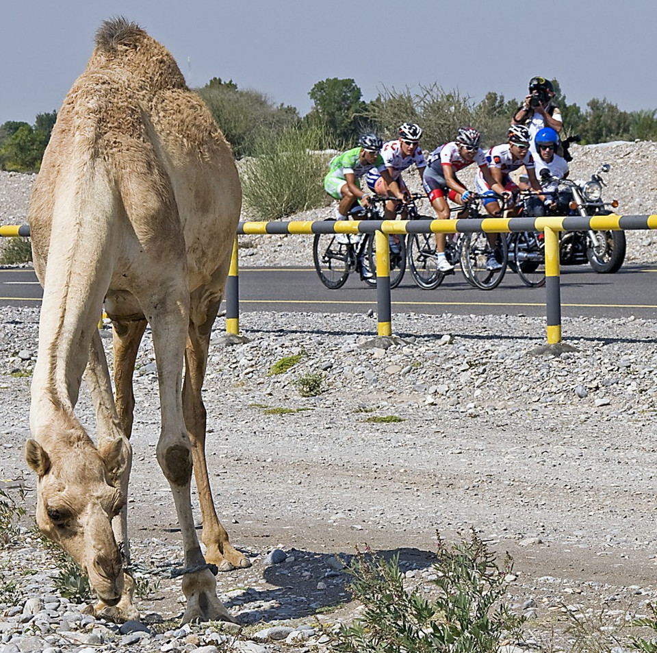 Oman là địa điểm ưa thích của nhiều tay đua xe đạp. (Ảnh: SCMP)