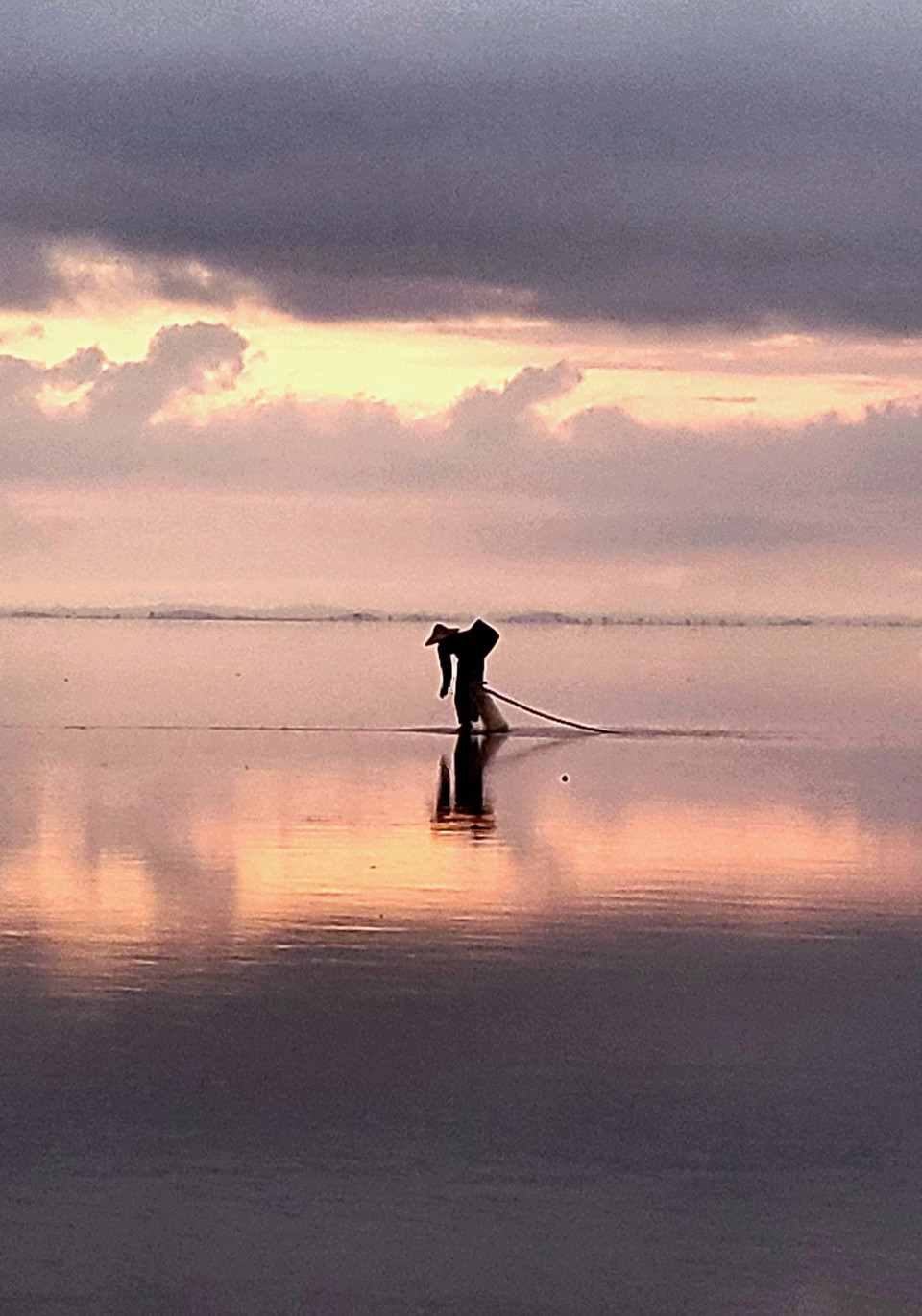 Một người dân đang thu hoạch ngao. (Ảnh: Vũ Kim Xuân/Vietnam+)