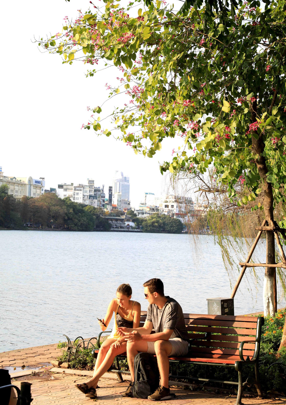 Du khách có cơ hội thưởng lãm loài hoa ban tím khoe sắc ngay giữa Thủ đô. (Ảnh: Nhật Anh/TTXVN)