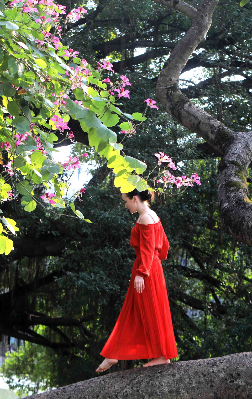 Các bạn trẻ thích thú chụp ảnh với hoa ban tím ven hồ Gươm. (Ảnh: Nhật Anh/TTXVN)