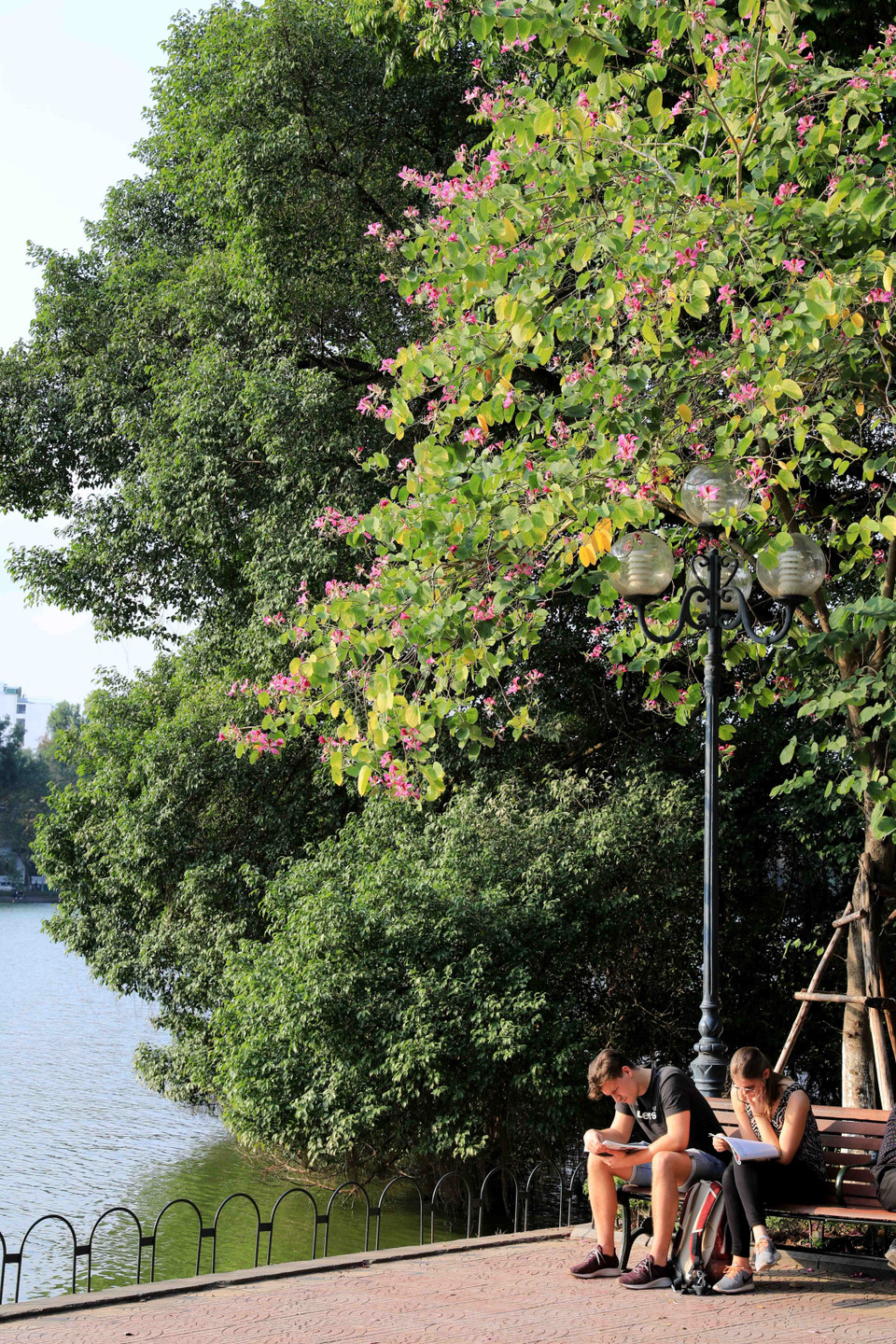 Phút yên bình của du khách bên hồ Gươm. (Ảnh: Nhật Anh/TTXVN)