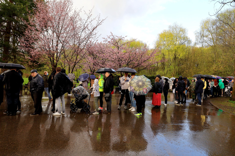 Người dân Moskva xếp hàng mua vé vào vườn Nhật Bản ngắm hoa anh đào nở. (Ảnh: Trần Hiếu/TTXVN