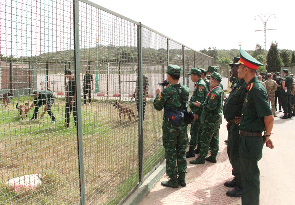 Đoàn Army Games Việt Nam 2021 trao đổi kinh nghiệm về khả năng chó nghiệp vụ phát hiện người dương tính SARS-CoV-2. (Ảnh: Tấn Đạt/TTXVN)