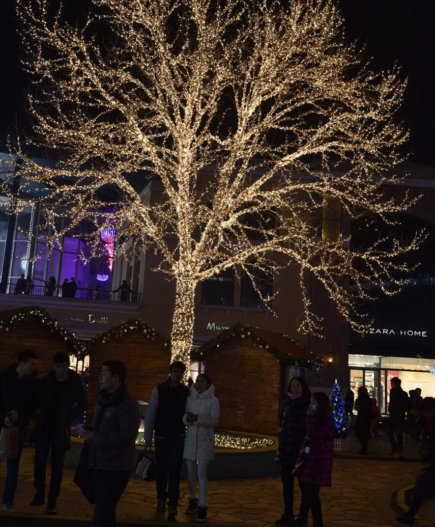Cây khô mùa đông trở nên lung linh khi được thắp sáng bằng ánh đèn màu. (Ảnh: Tường Thu/Vietnam+)