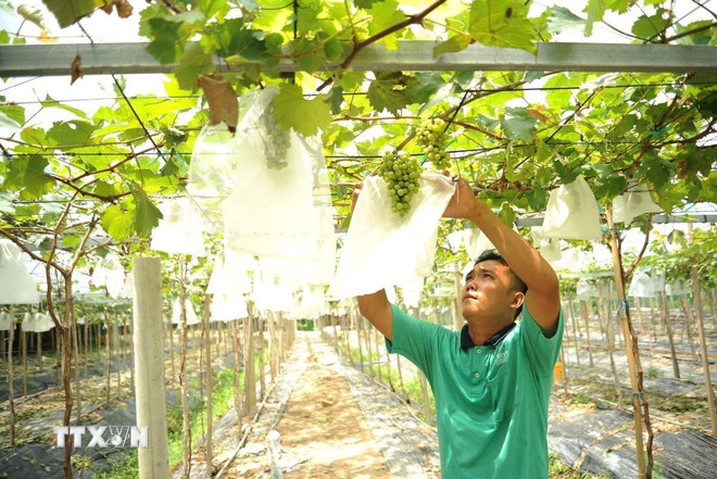 People of O Lam commune invest in developing hill garden economy to do tourism business in the O Thum lake area. (Photo: Cong Mao/VNA) ttxvn-an-giang2.jpg