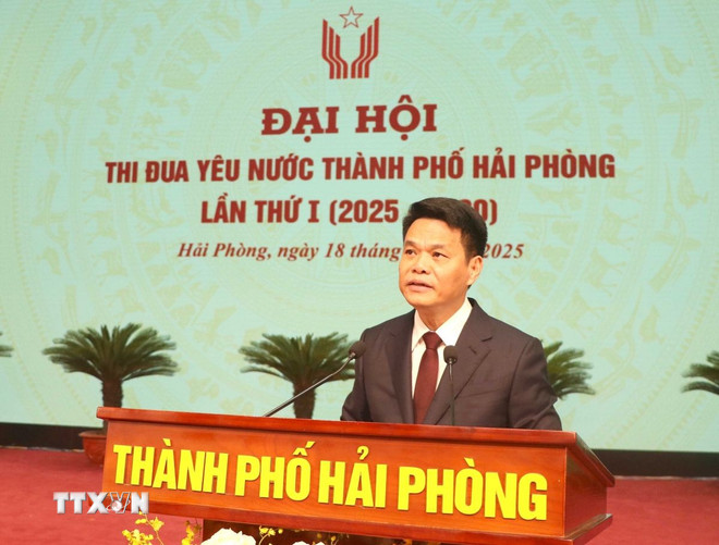 Le Ngoc Chau, leder av Hai Phong bys folkekomité, taler. (Foto: Hoang Ngoc/VNA) ttxvn-hai-phong10.jpg