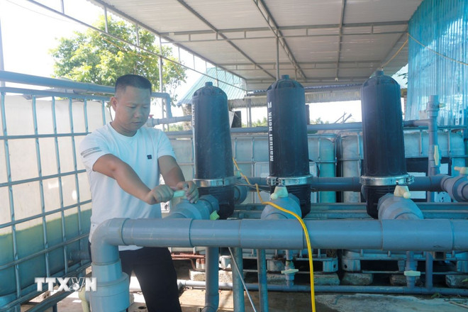 ttxvn-nho-hu-co2.jpg
