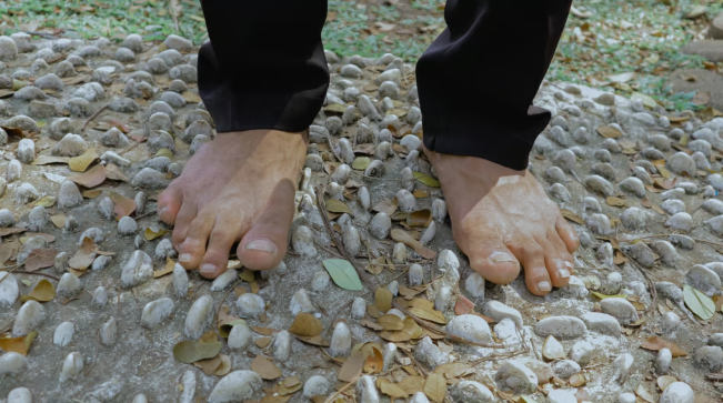 Bài tập đi chân trần trên sỏi được nhiều người áp dụng. (Nguồn: SCMP)