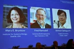 Chân dung các nhà khoa học đoạt giải Nobel Y sinh năm 2025 (từ trái sang): Mary E Brunkow, Fred Ramsdell và Shimon Sakaguchi. (Ảnh: REUTERS/TTXVN)