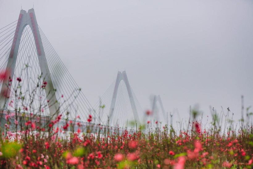 Cuộc sống hiện đại cùng dòng thác đô thị hóa không thể làm mất đi một trong những nét đẹp được gìn giữ từ bao đời qua của người dân Nhật Tân. (Ảnh: Lê Minh Sơn/Vietnam+)