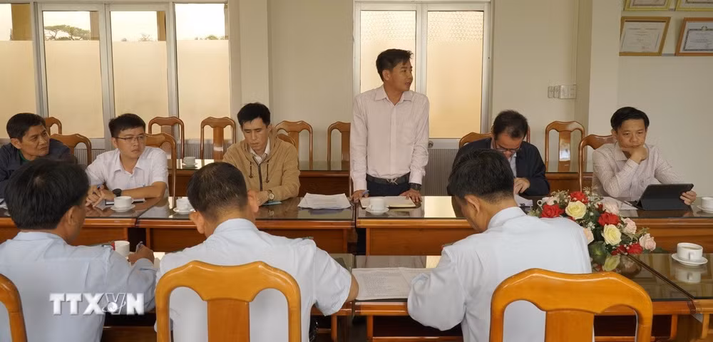 ttxvn-gia-lai-thanh-tra-toan-dien-cong-ty-tnhh-mot-thanh-vien-ca-phe-gia-lai-8070060-2.jpg