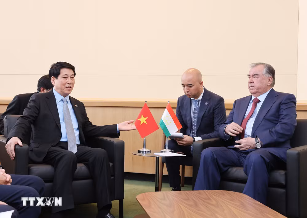 ttxvn-chu-tich-nuoc-luong-cuong-gap-tong-thong-tajikistan-8290081.jpg